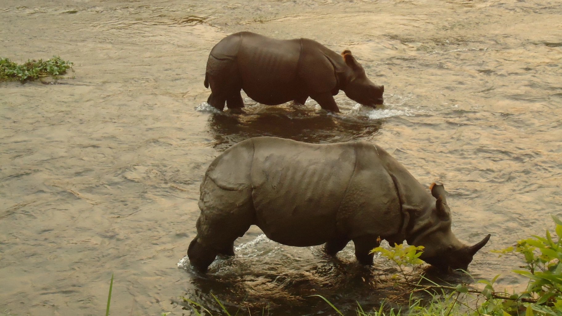 Chitwan National Park